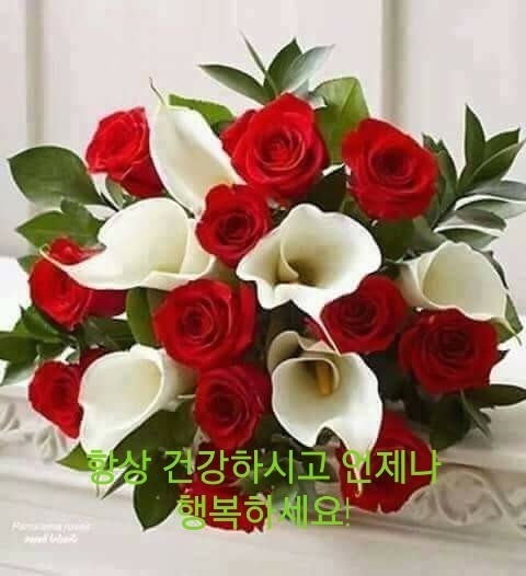 육삼 이미지