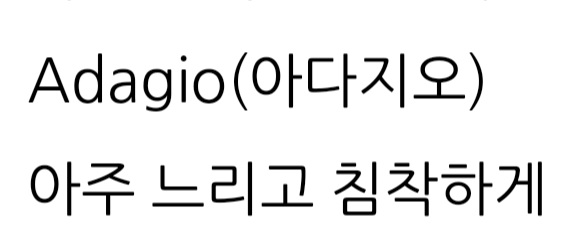 광란소나타 이미지