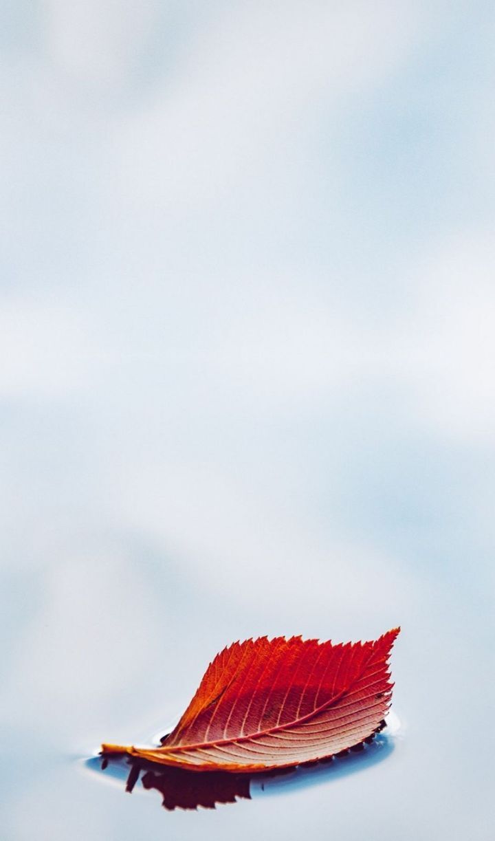 시화전 이미지