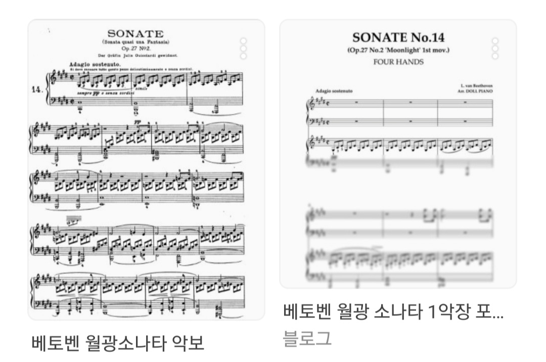 광란소나타 이미지