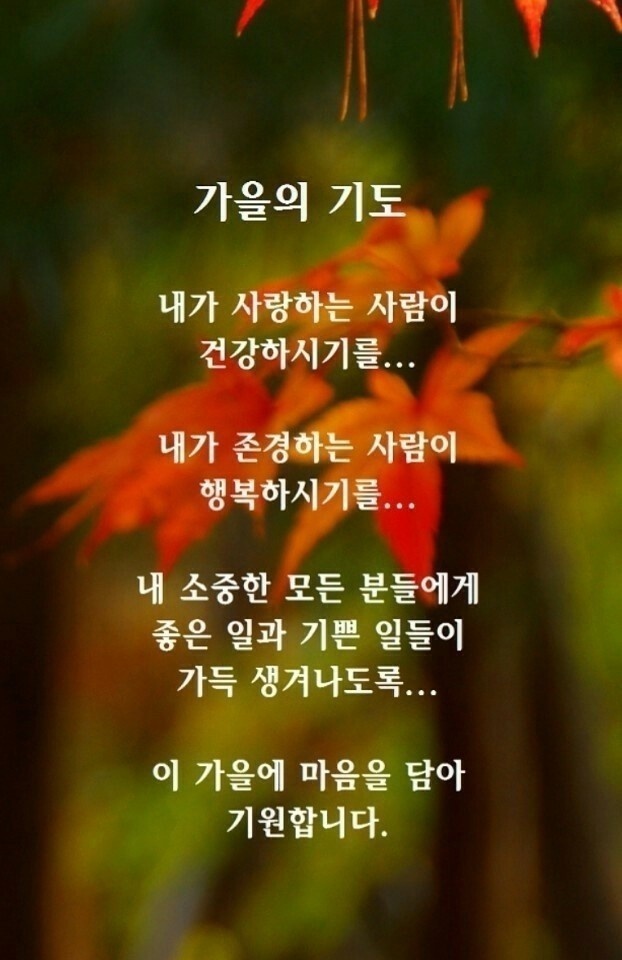 송*복 이미지
