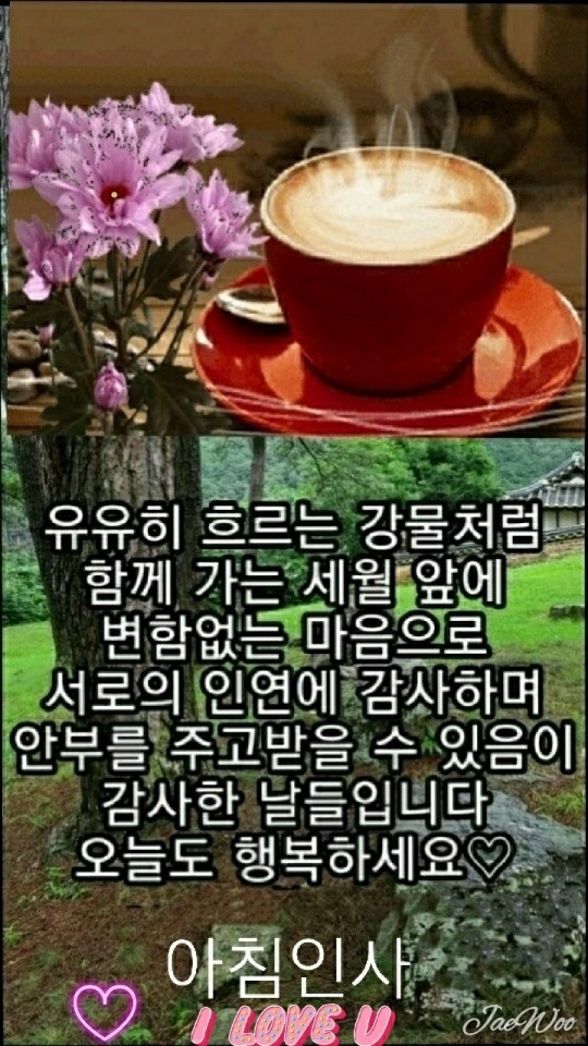 송*복 이미지