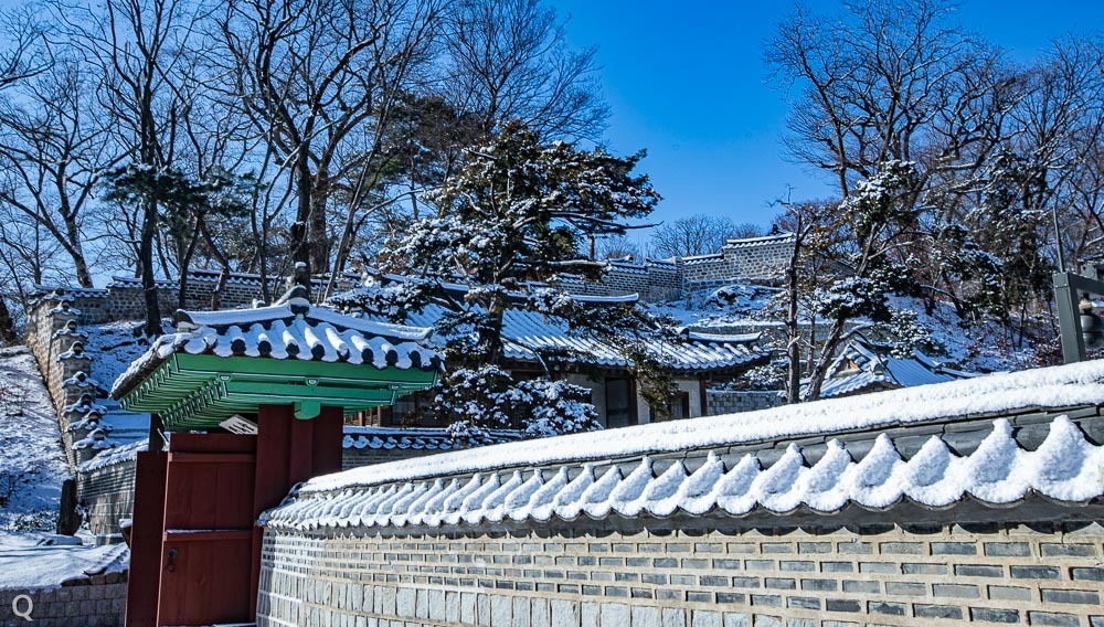 비원 이미지