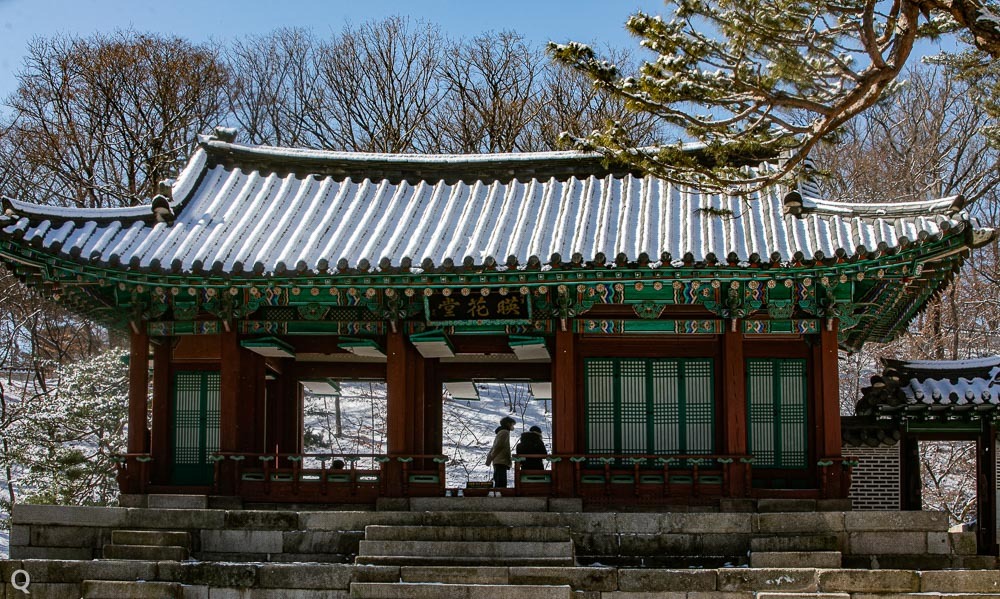 비원 이미지