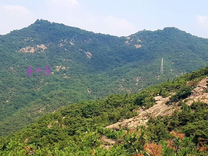 투레이어 이미지