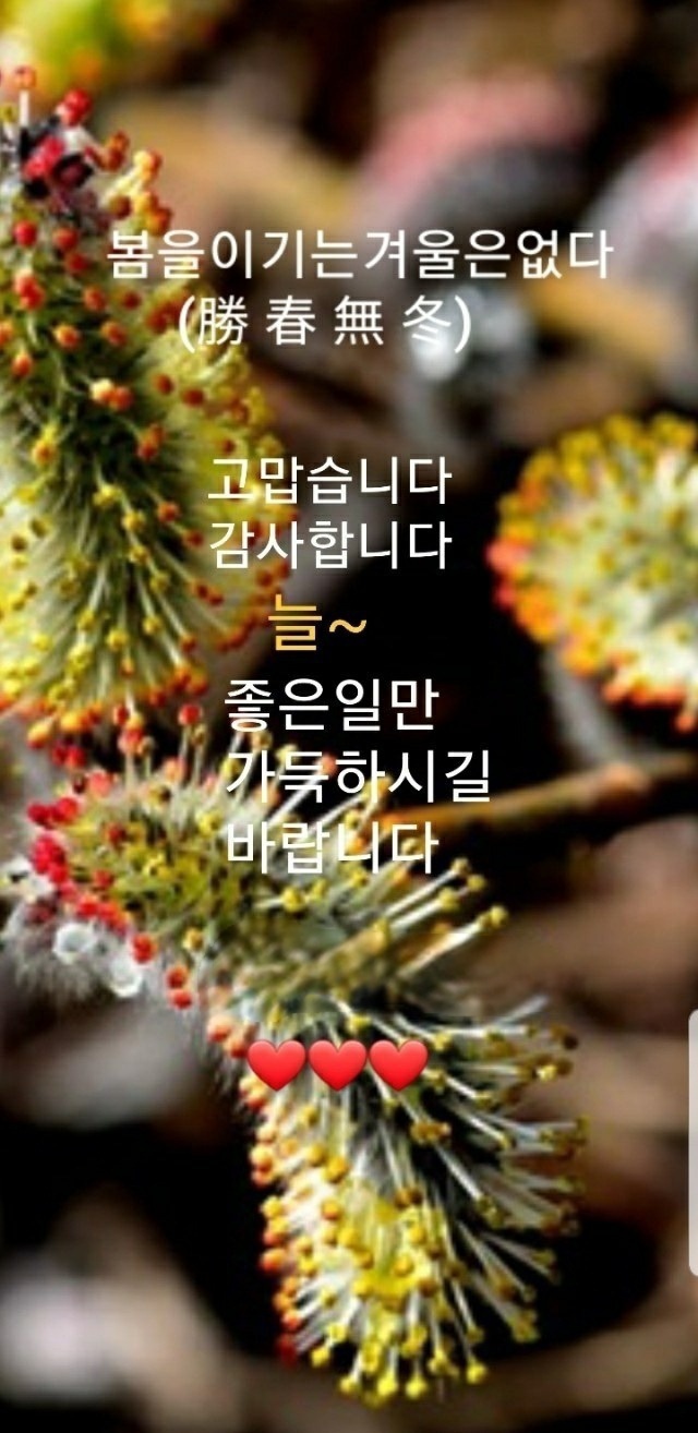 무동 이미지
