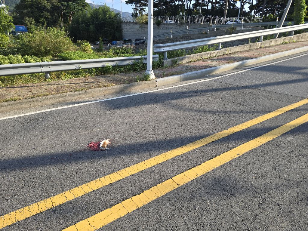 153자동차정비 이미지