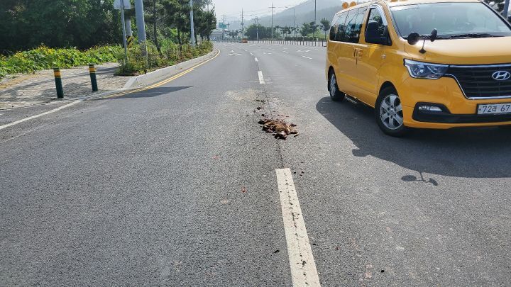주은상사 이미지