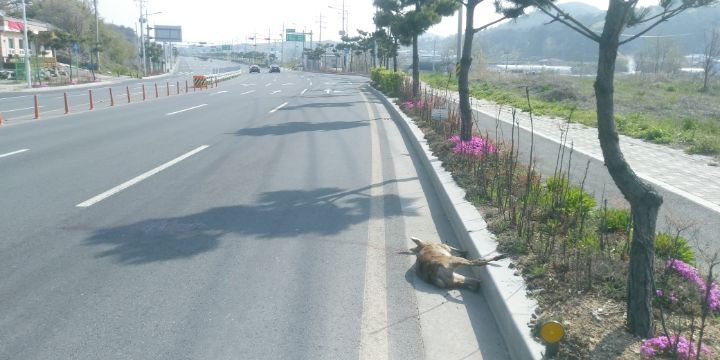 주은상사 이미지