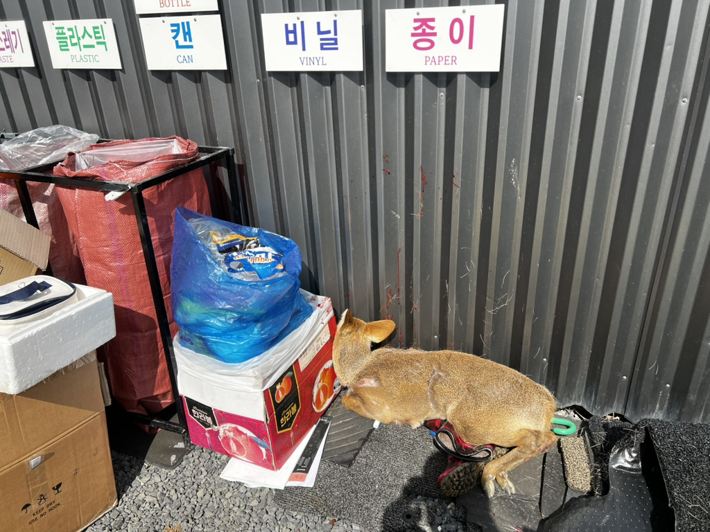 전일세차장 이미지
