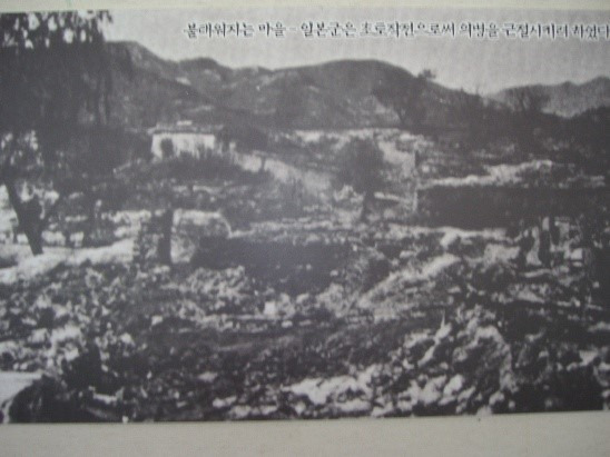 비촌 이미지