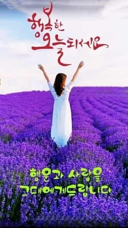 오늘도 이미지