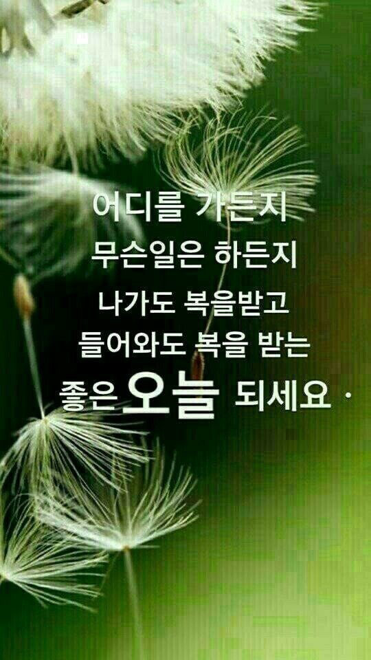오늘도 이미지