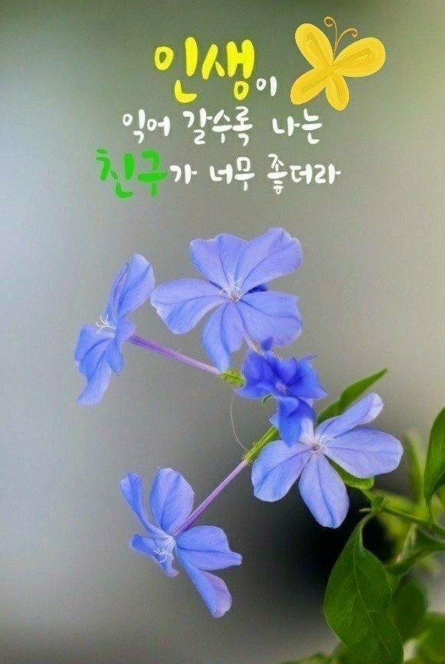 멋진하루 이미지