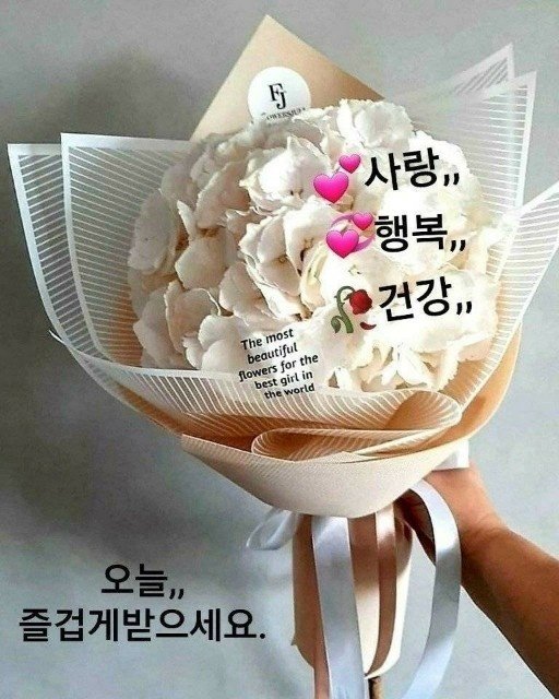 멋진하루 이미지