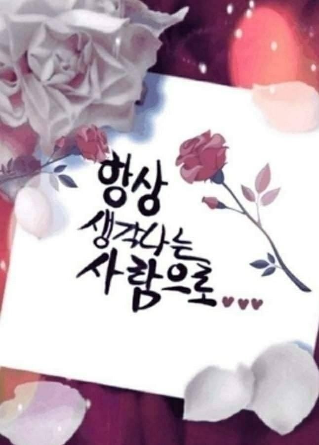 소중한 당신에게 이미지