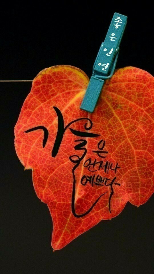 언제나;예쁘다 이미지