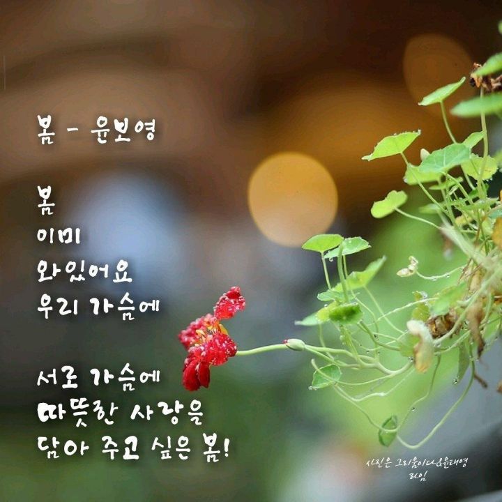 행복한잔 이미지