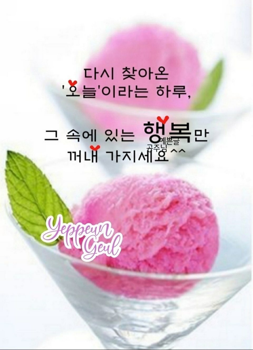 꽃피는하루 이미지