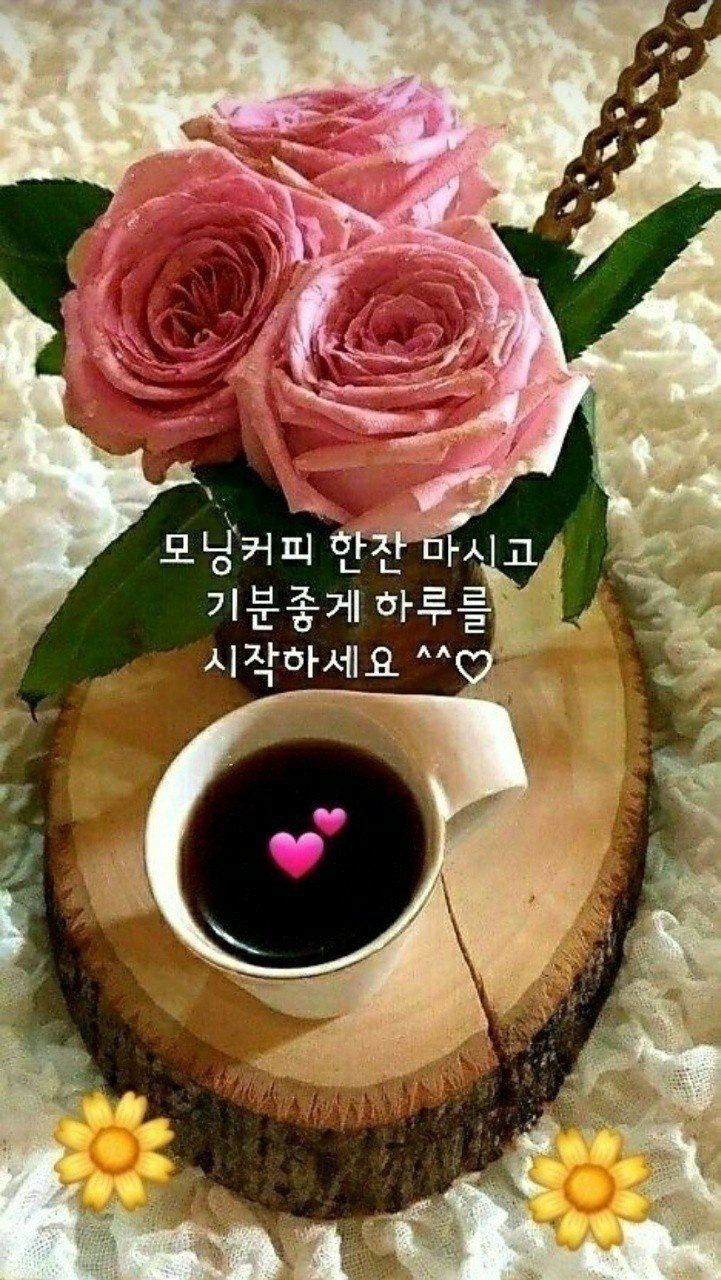 멋진하루 이미지
