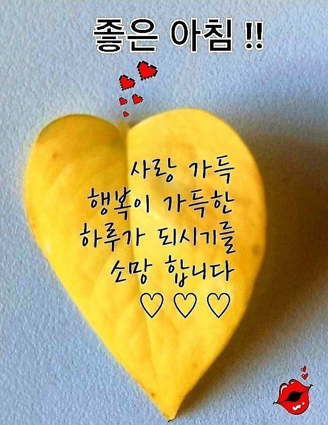 빛나는하루 이미지