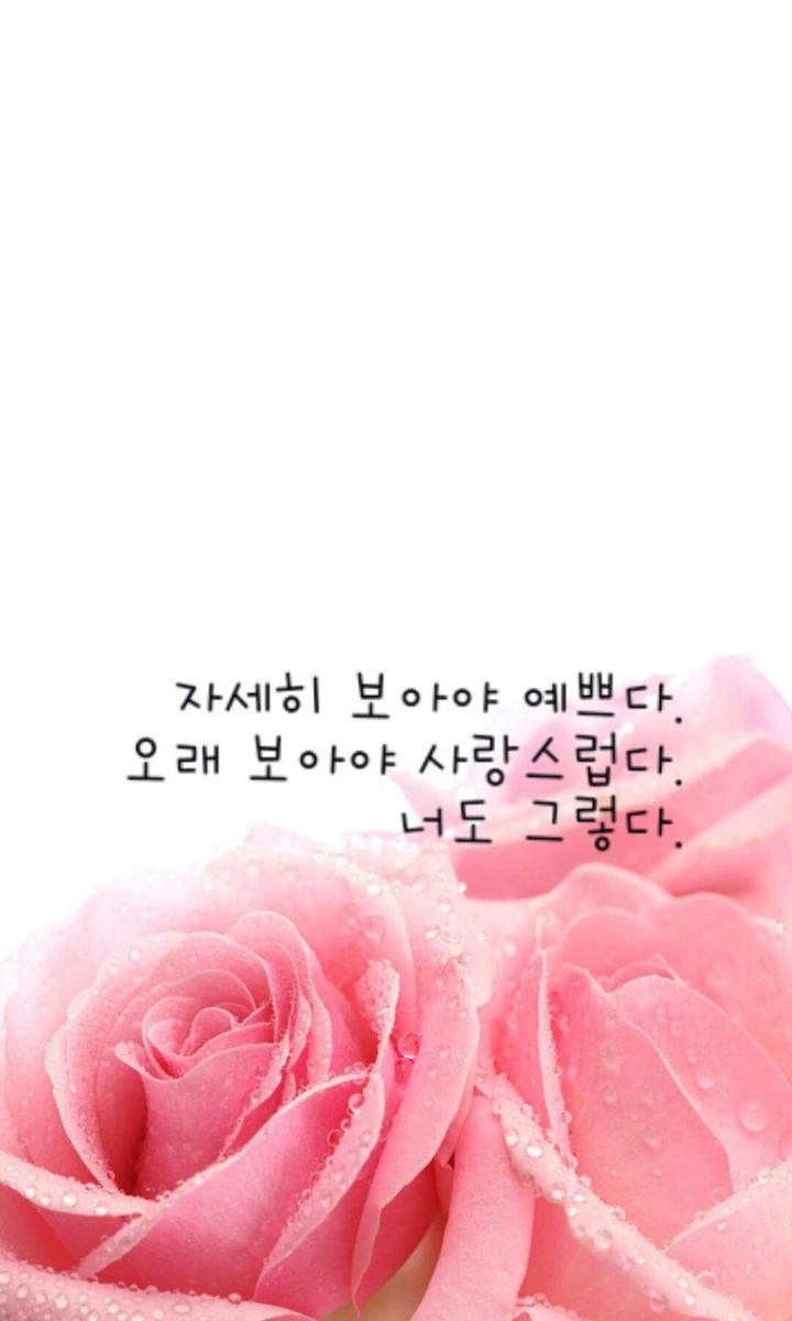 꽃을사랑합니다 이미지