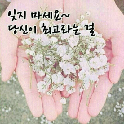 당신이짱 이미지