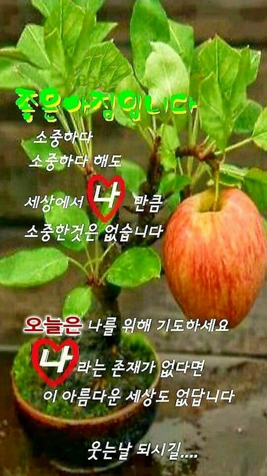사랑하라 이미지