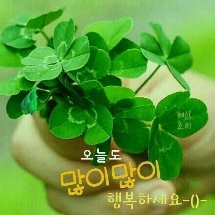 사랑으로 이미지