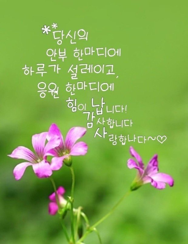 멋진하루 이미지