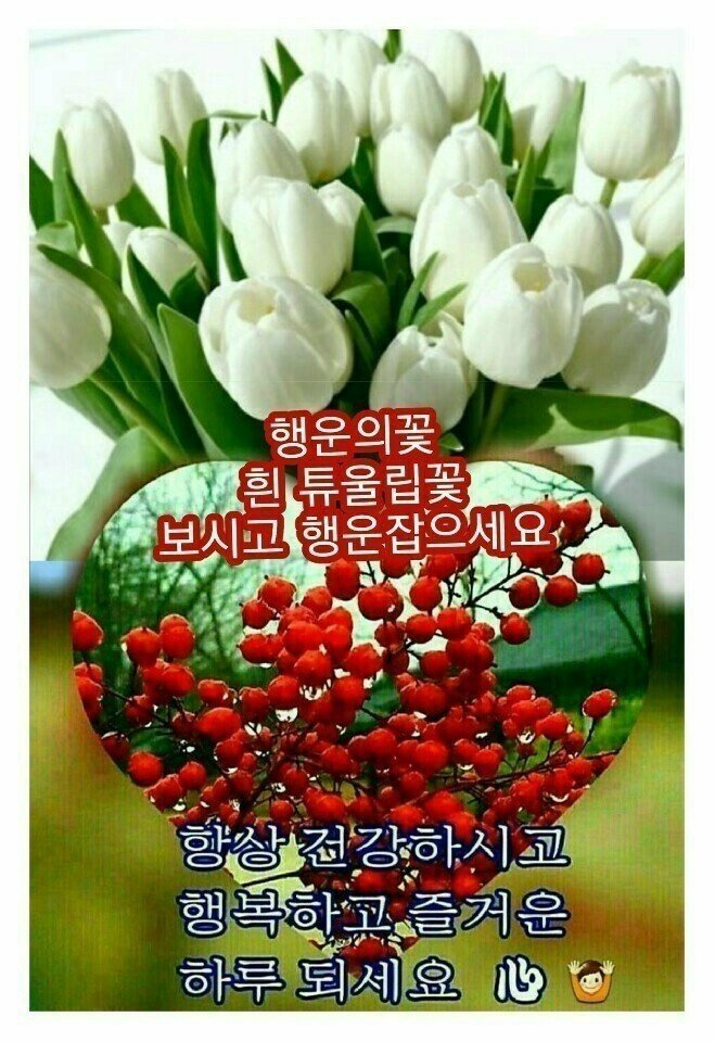 오늘은 이미지