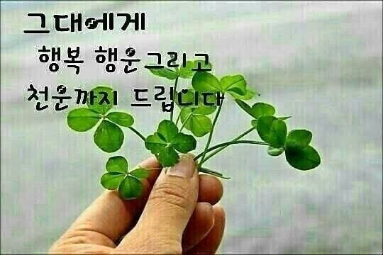행복 이미지