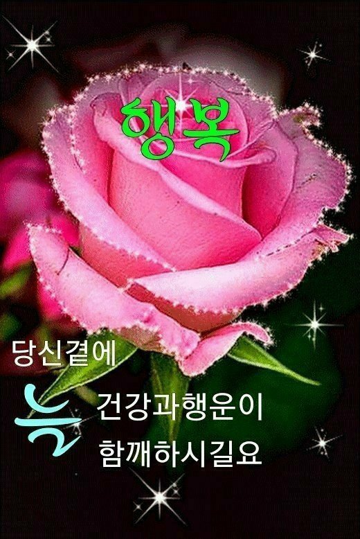 행복한날 이미지