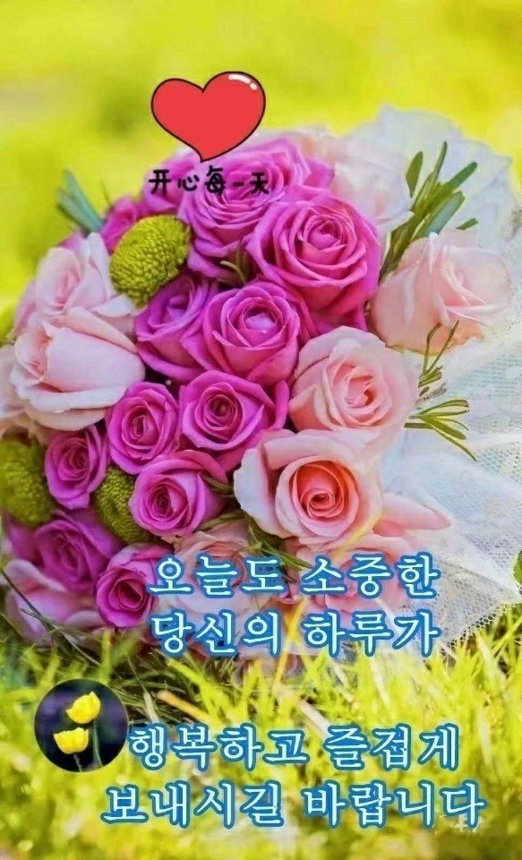 행복한 하루 이미지