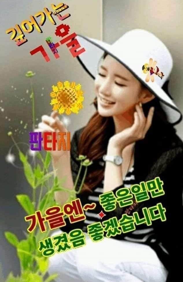 해피데이 이미지