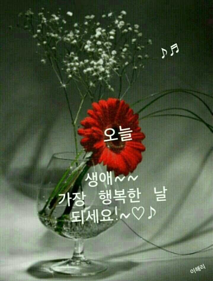 행복 이미지