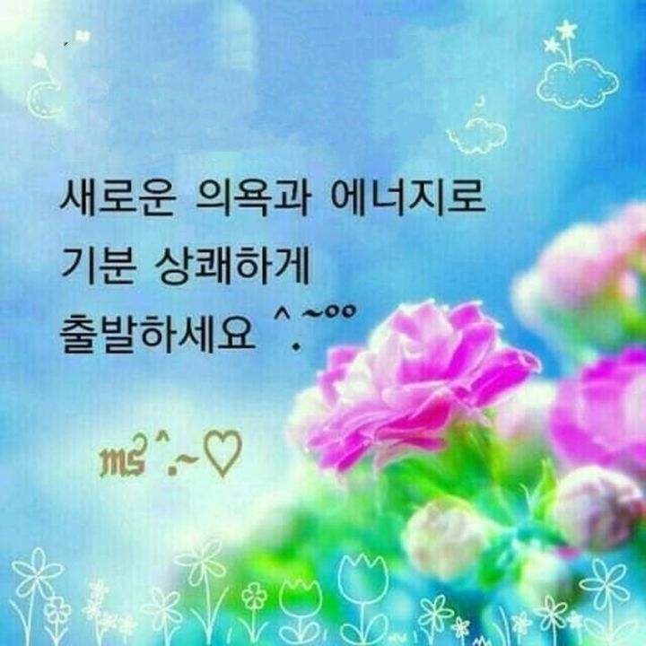 늘처음처럼 이미지
