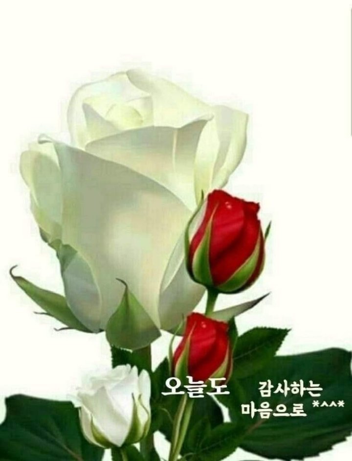 오늘도함께 이미지