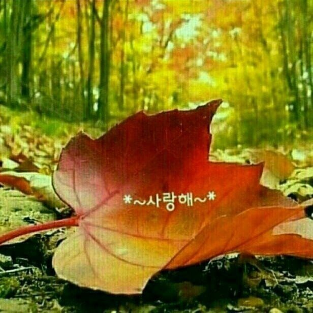 오늘도예쁜하루 이미지