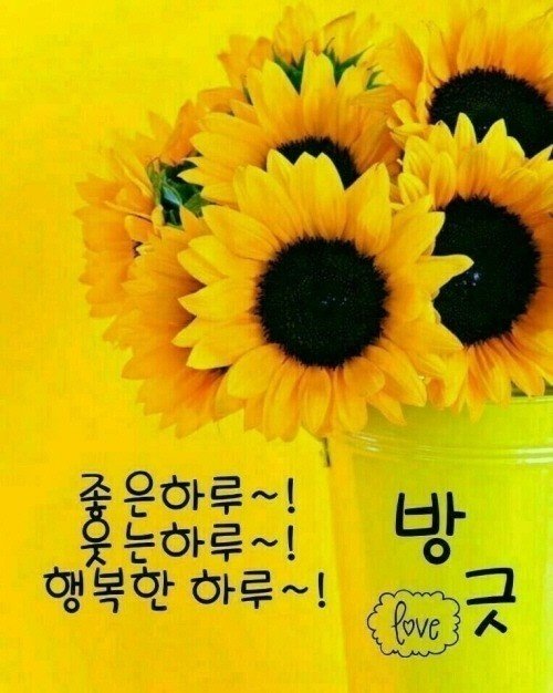 멋진하루 이미지
