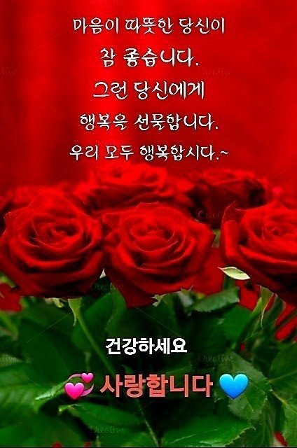 멋진하루 이미지
