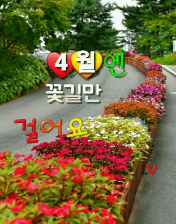 꽃길만걸어요 이미지
