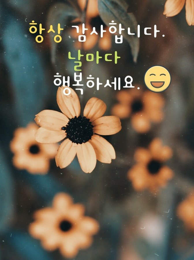 행복한 하루 이미지