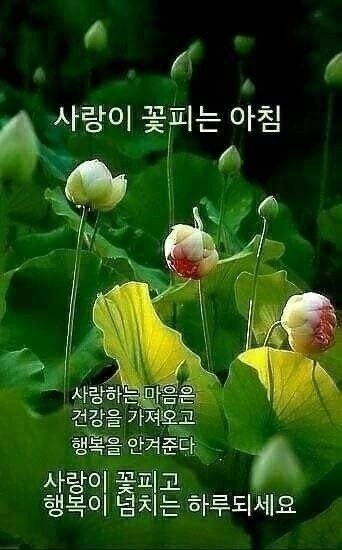 즐거운하루 이미지