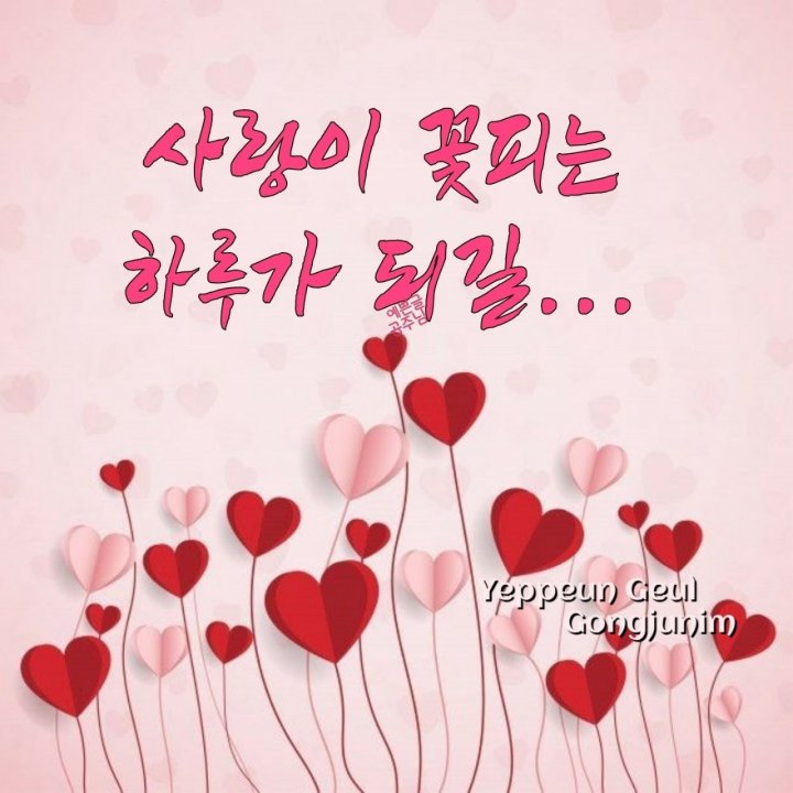 꽃피는하루 이미지