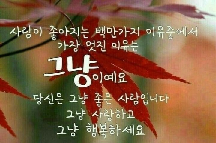멋진하루 이미지