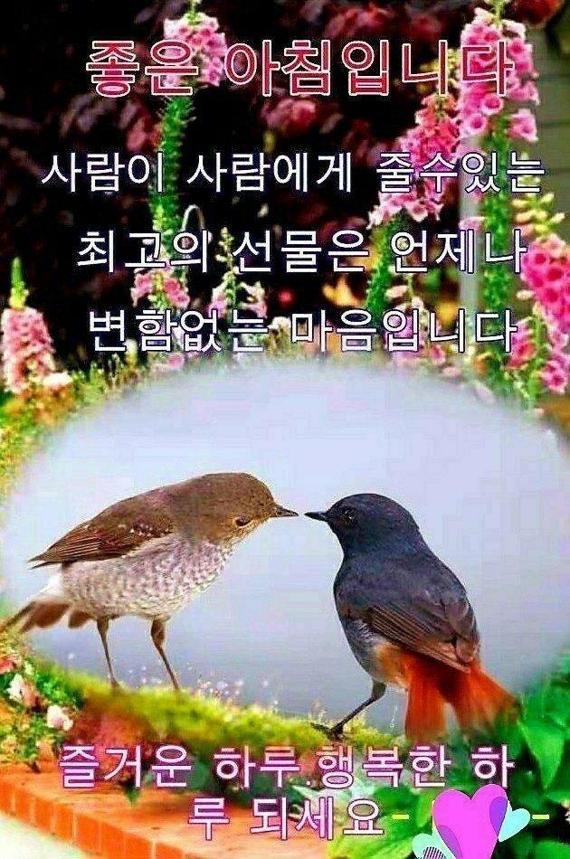 행복한잔 이미지