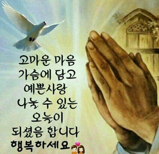 당신이짱 이미지