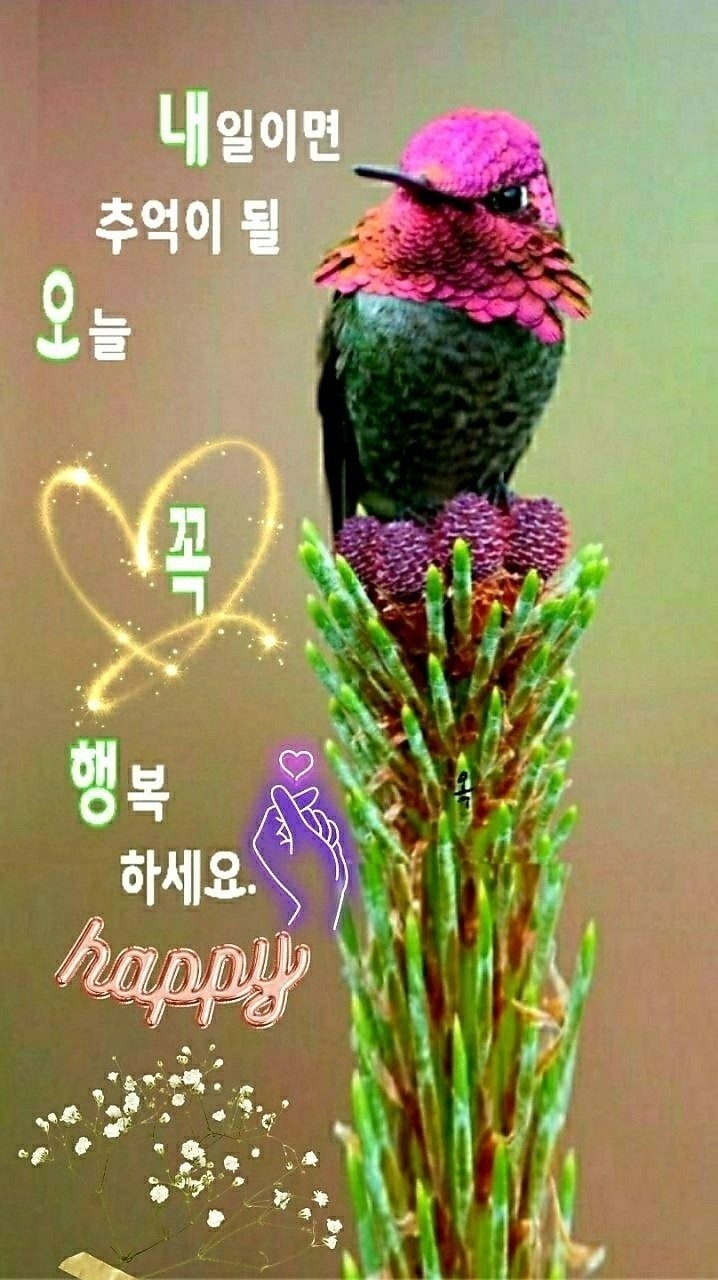 덕분 이미지