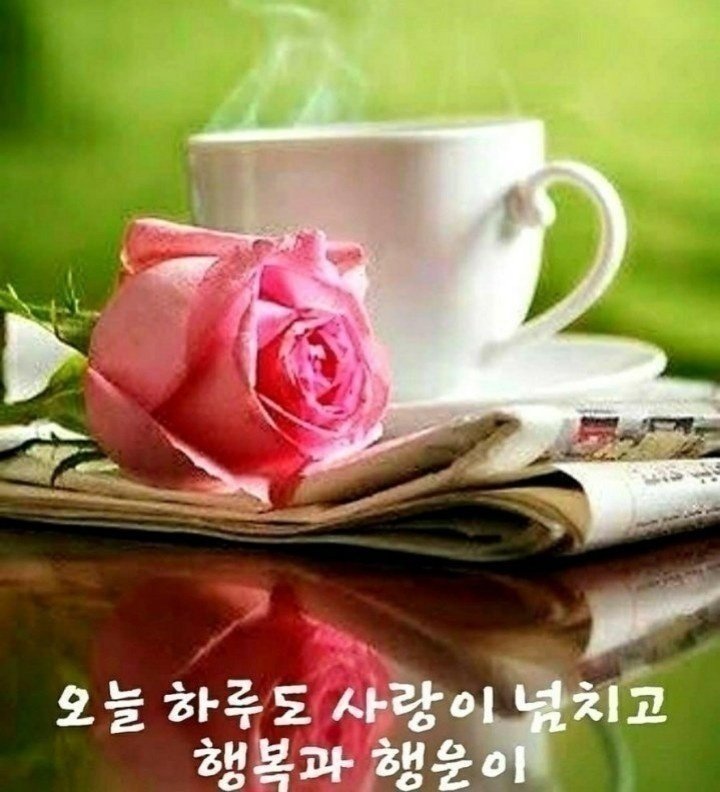 꽃을사랑합니다 이미지